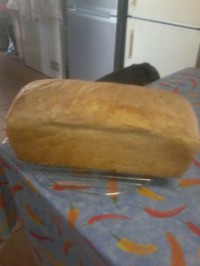 geen knie melkbrood