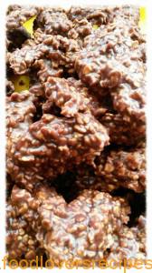 NO BAKE OATMEAL COOKIES