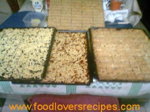 hertzoggie squares