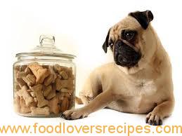 dog treats