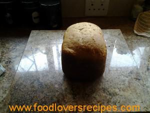 Broodmasjien brood