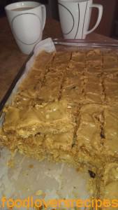 oats bars