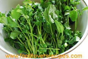Bronkors Watercress, heerlike vars krui vir slaai