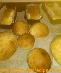kiti se buns