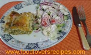 vis lasagne elsabe