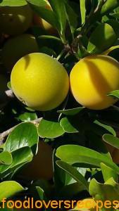 appeltjies 2