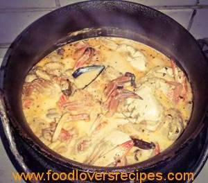 seekos pot cecil