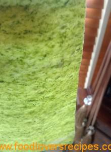 HOMEMADE SPINACH LASAGNE 2