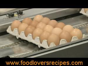 IDEES OM VARS EIERS TE BEWAAR-EGG STORAGE