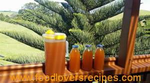 rooibos gemmerbier2
