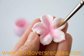 FLOWER PASTE