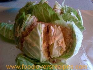 KARINS CABBAGE