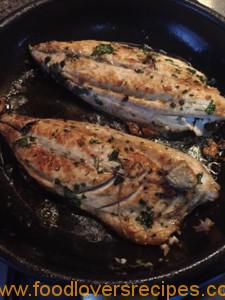 kristie se yellowtail