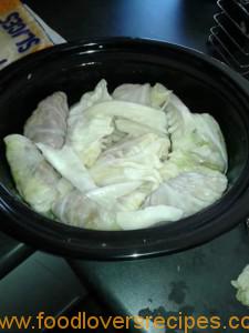 CABBAGE ROLLS