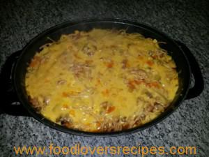 wil ophou maar kannie pastagereg