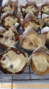 broodjies_n