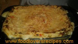 lasagne