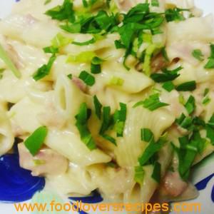 2015-10-04-marianse3-kaaspastagereg