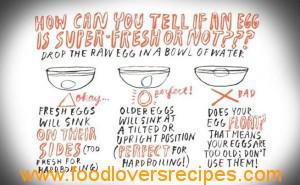 2015-11-05-tell-if-your-expired-eggs-are-still-good-eatw654